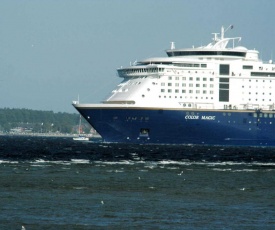 Ostseekrabbe